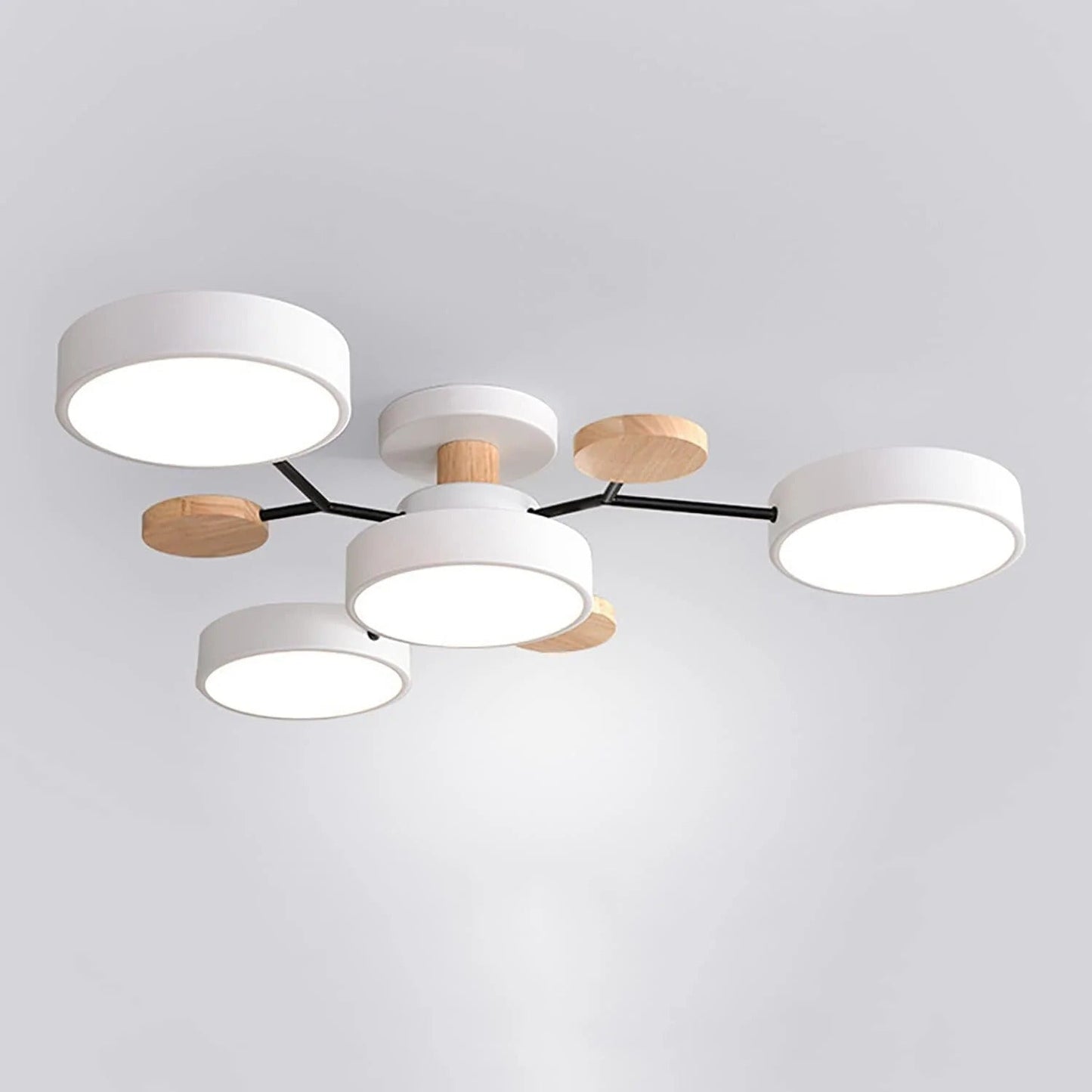 Modern halo LED ceiling light