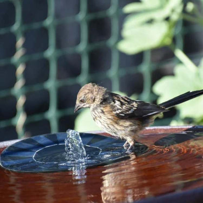 Solar Pond Fountain with Floating Design and Multiple Spray Modes
