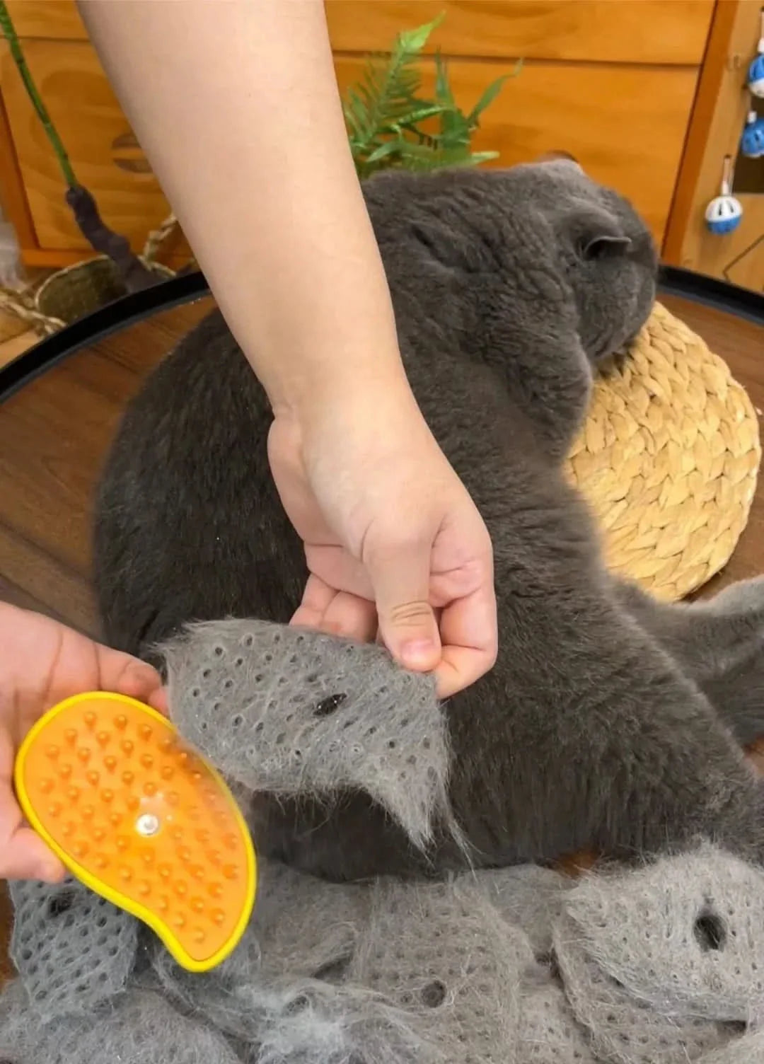 SpaPurr | Steaming Cat Brush