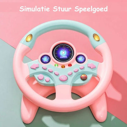 Steering Wheel | Simulator