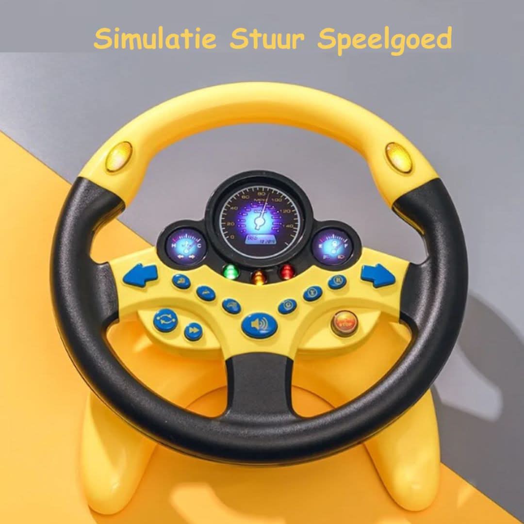 Steering Wheel | Simulator