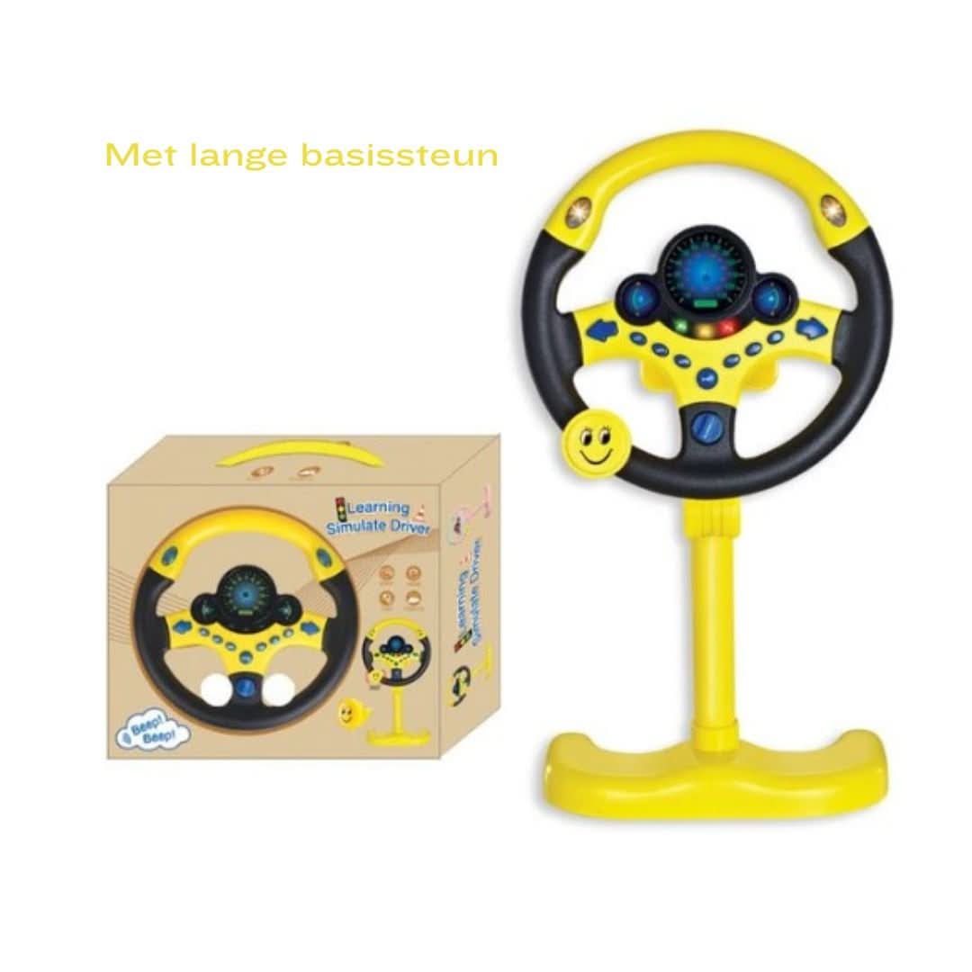 Steering Wheel | Simulator