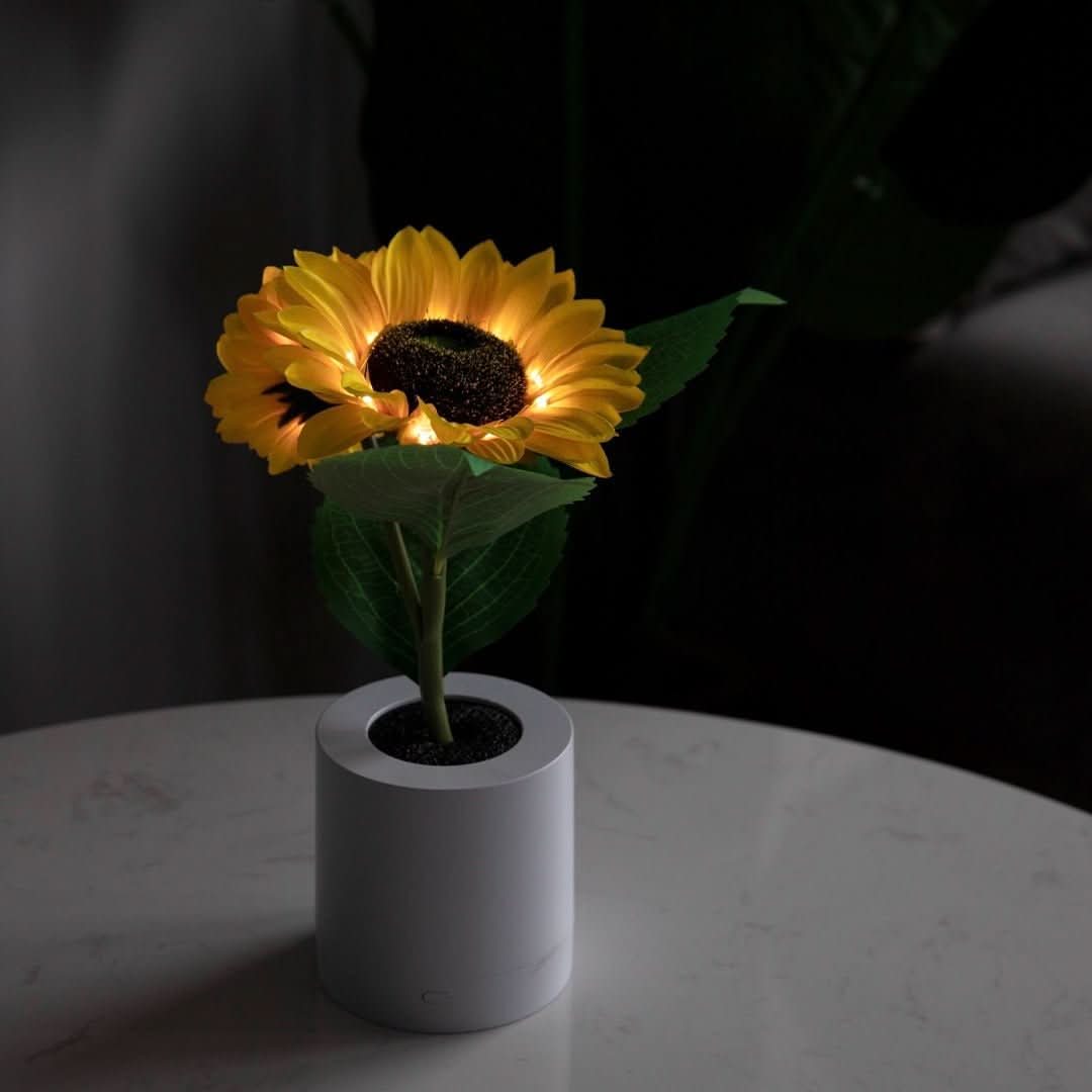 Sunflower | Sunflower Lamp