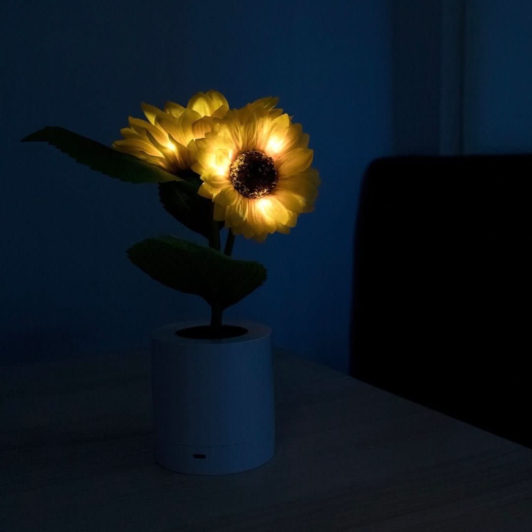 Sunflower | Sunflower Lamp