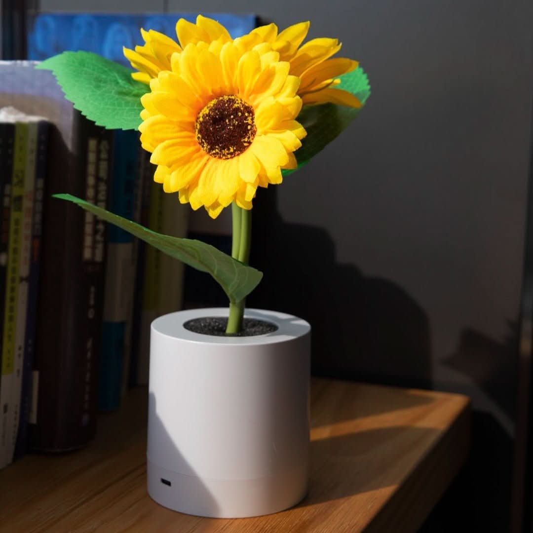 Sunflower | Sunflower Lamp
