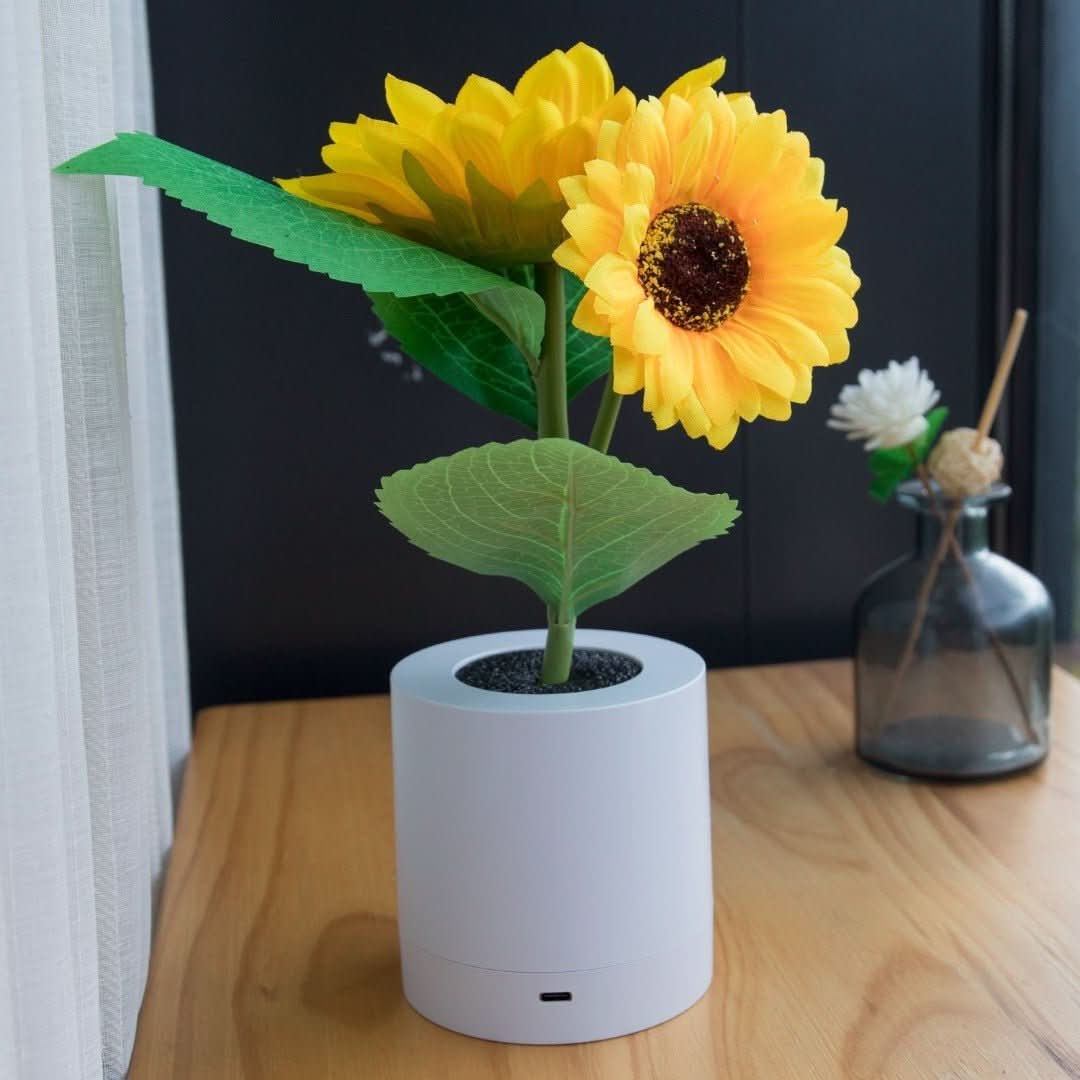 Sunflower | Sunflower Lamp