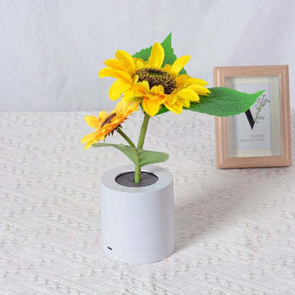 Sunflower | Sunflower Lamp