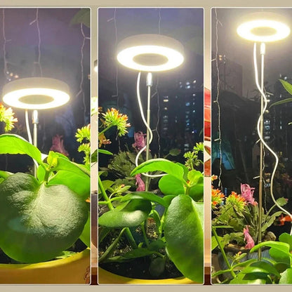 ThriveBeam | Bring the growth energy of the sun home