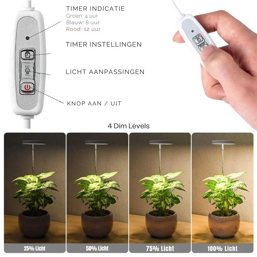 ThriveBeam | Bring the growth energy of the sun home