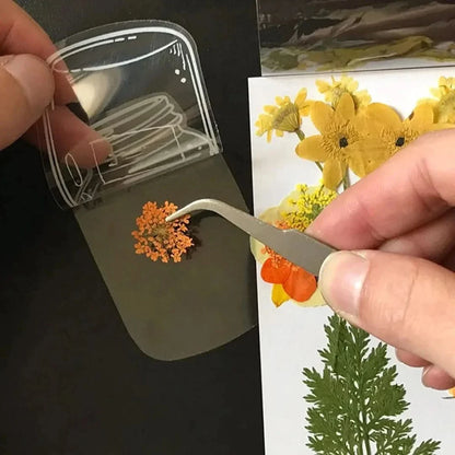 🌸Transparent bookmarks with dried flowers (with free ribbon)🦋