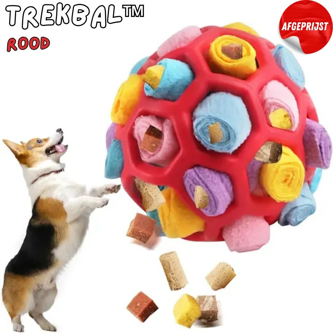 TrekBal | Snuffle Dog Toy