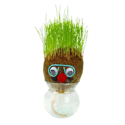 Plante figurative - Creează plante vii