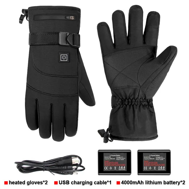 Heated Gloves for Motorcycle Scooter Winter - Professional