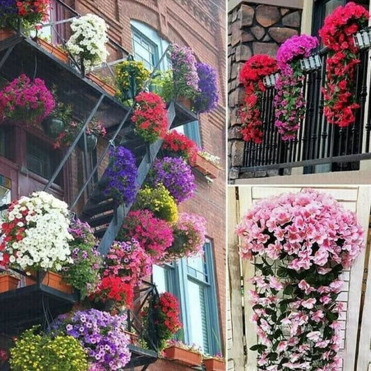 Violet | Hanging Flower Basket