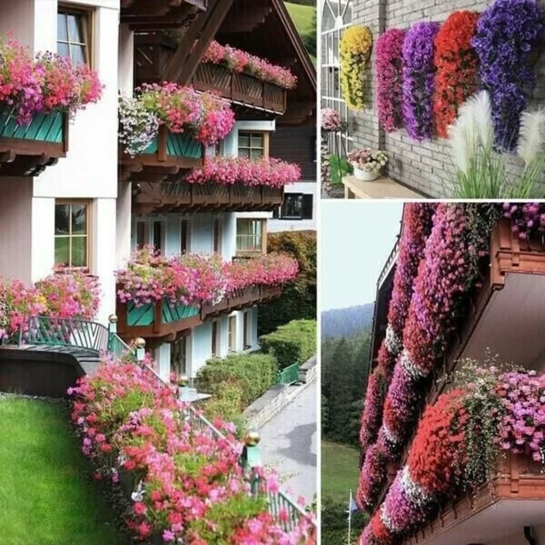 Violet | Hanging Flower Basket