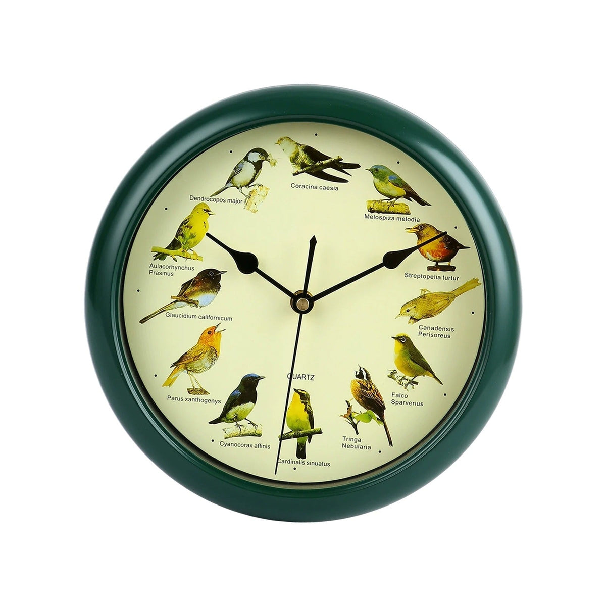 Wall Clock - Decorative Timepiece with Bird Sounds - Unique Atmosphere
