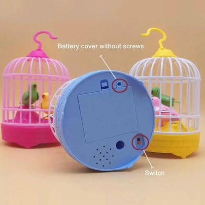 Singing Bird | Bird Nest
