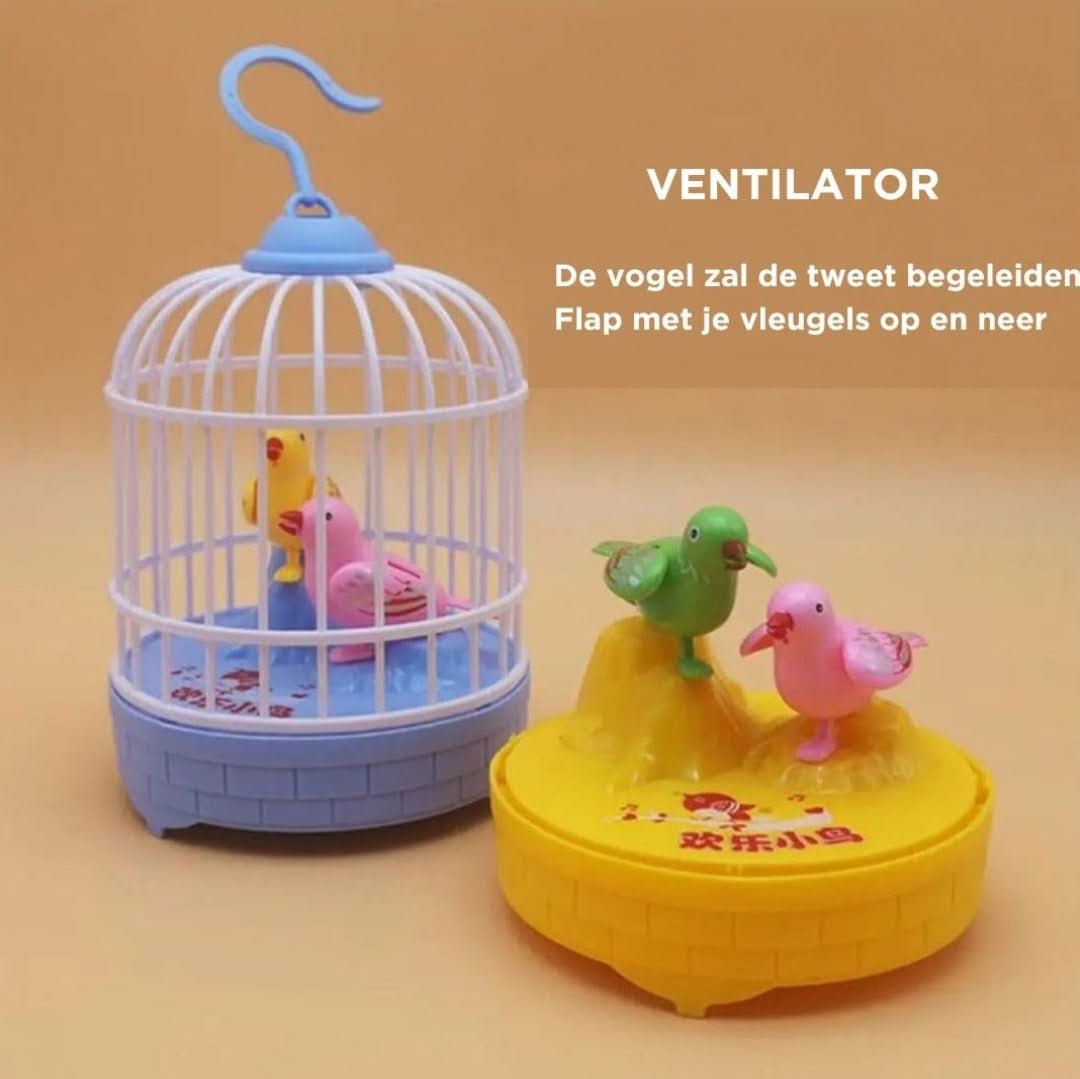 Singing Bird | Bird Nest