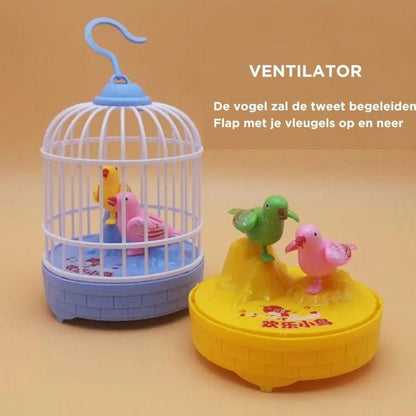 Singing Bird | Bird Nest