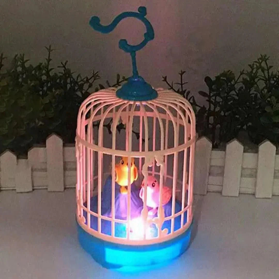 Singing Bird | Bird Nest